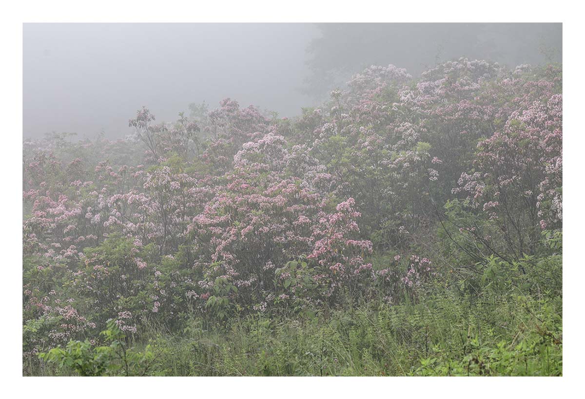 Shenandoah NP